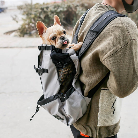 Pet Dog Backpack