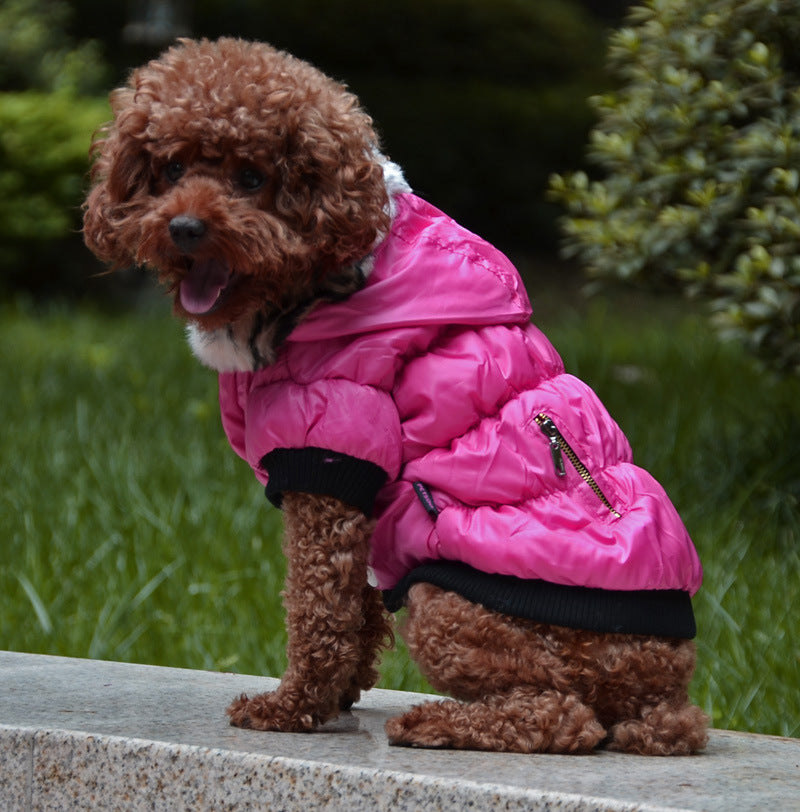 Dog Padded Clothes
