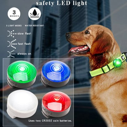 Dog LED Light Collar