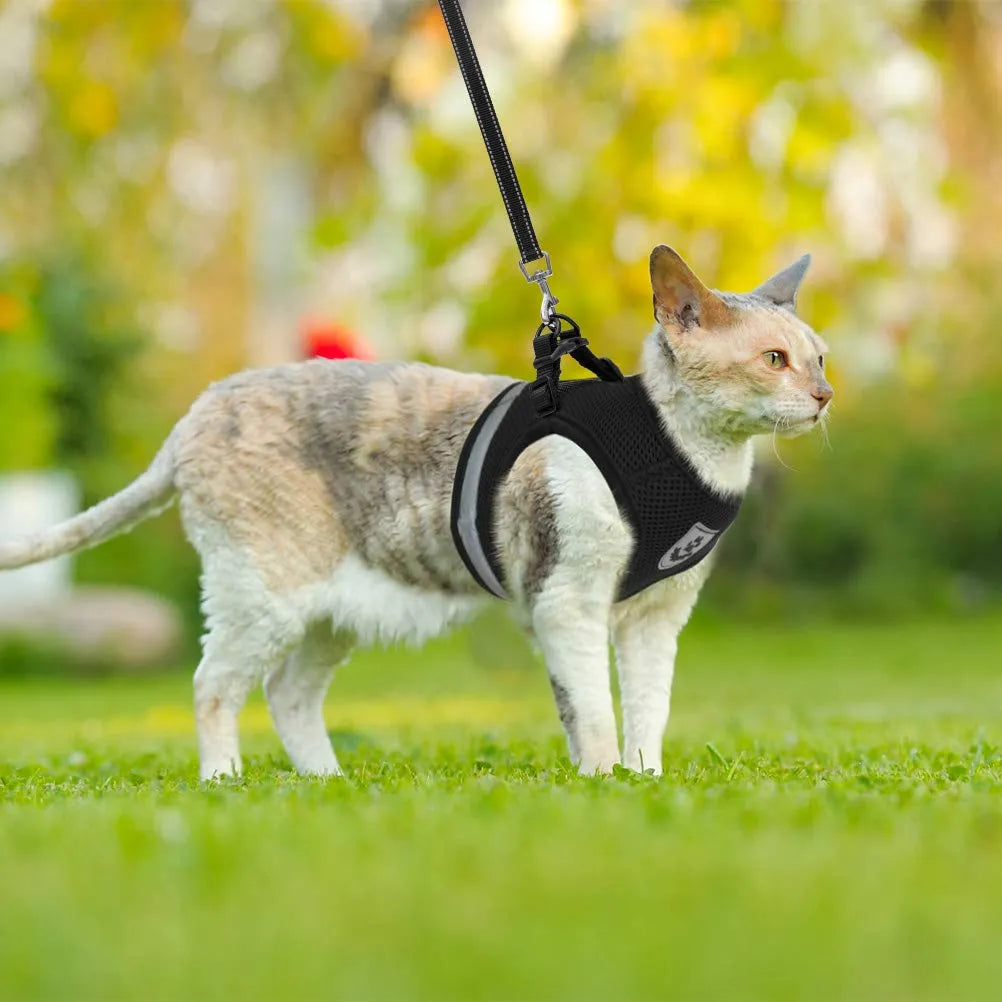 Adjustable Easy Control Reflective Cat Harness