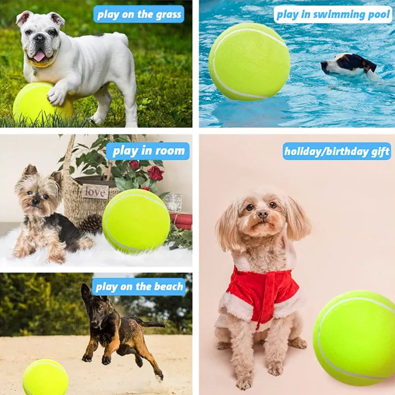 24cm Tennis Ball Dog Chew Toy