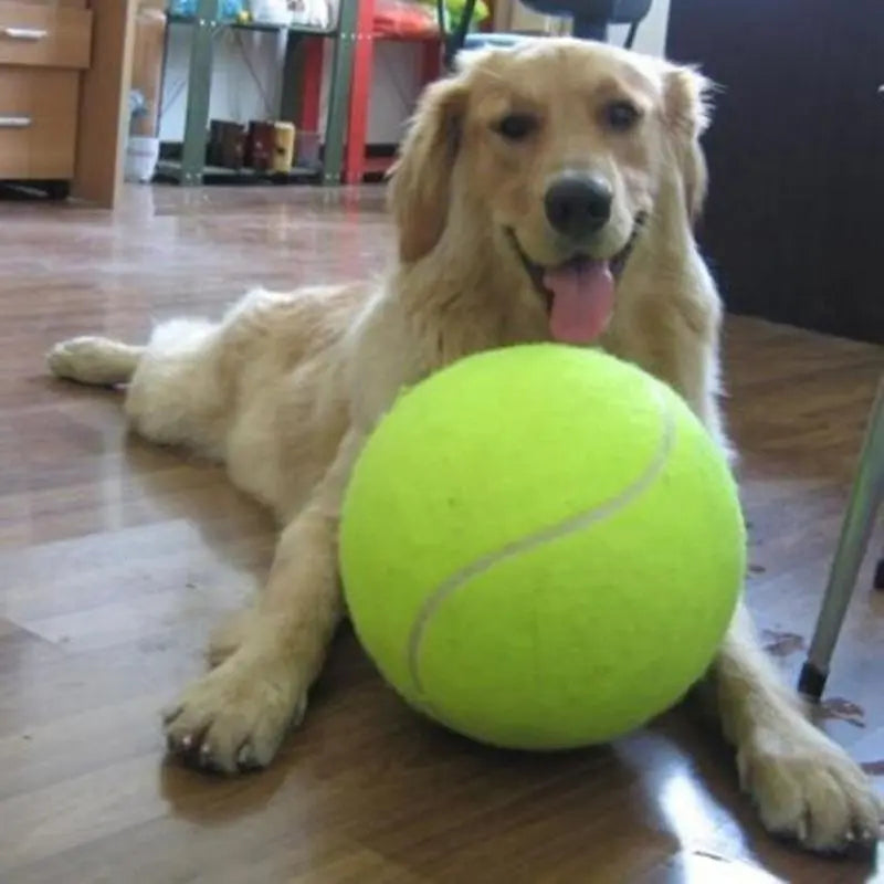 24cm Tennis Ball Dog Chew Toy