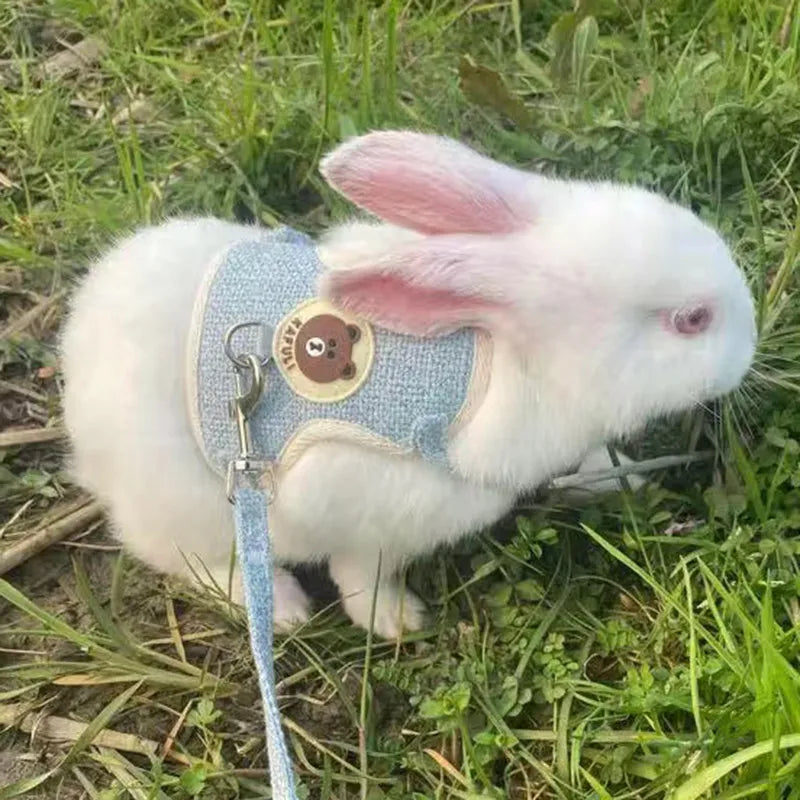 Newest Cute Rabbit Harness and Leash Set