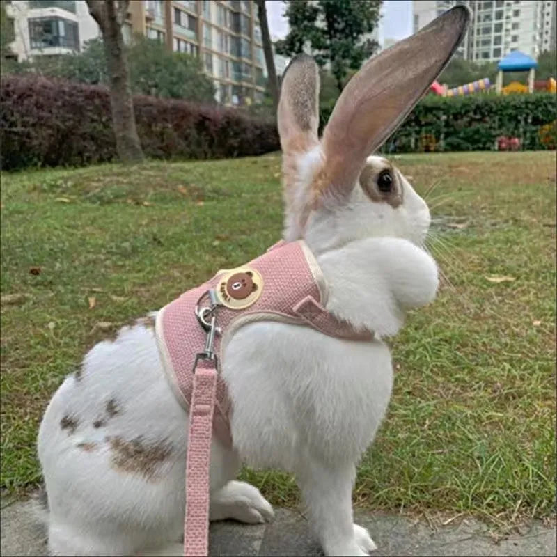 Newest Cute Rabbit Harness and Leash Set