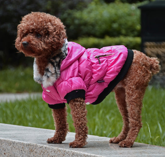 Dog Padded Clothes