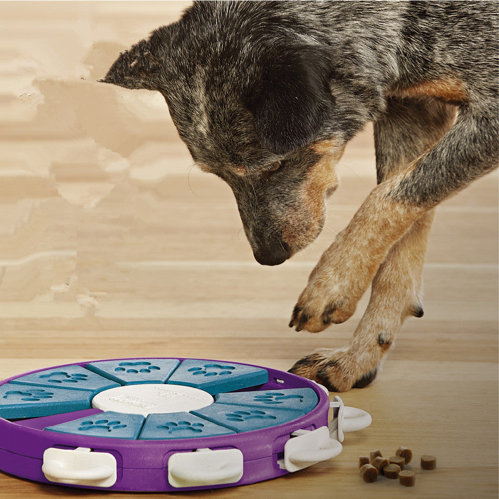 Dog  Interactive Educational Toy