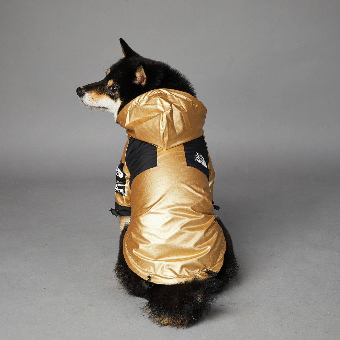 Dog Rain Coat