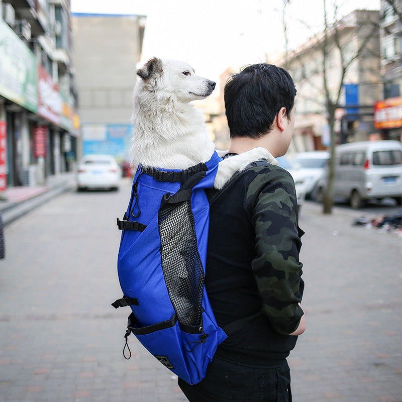 Pet Dog Backpack