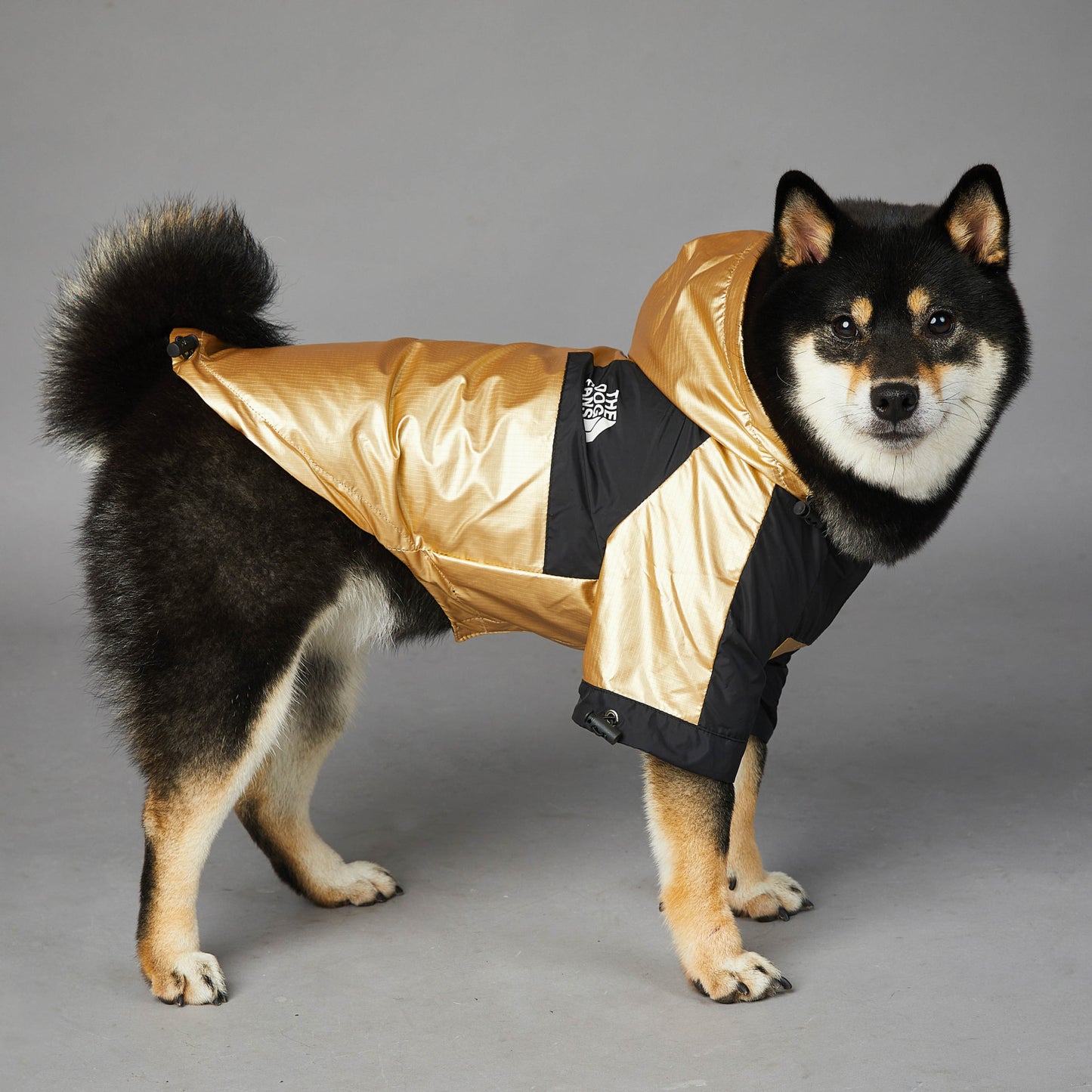 Dog Rain Coat