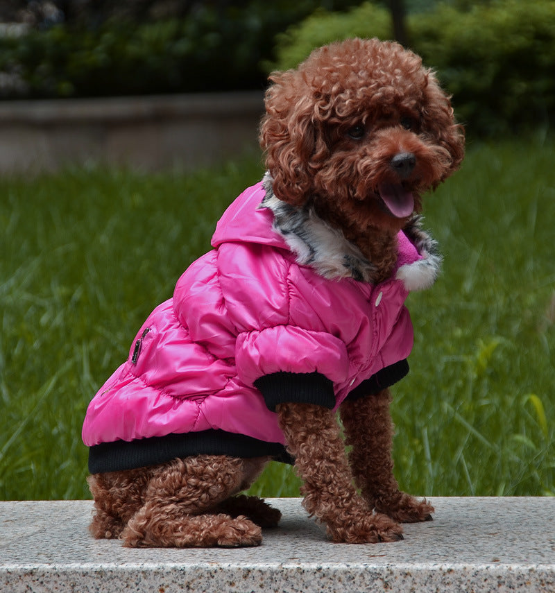 Dog Padded Clothes