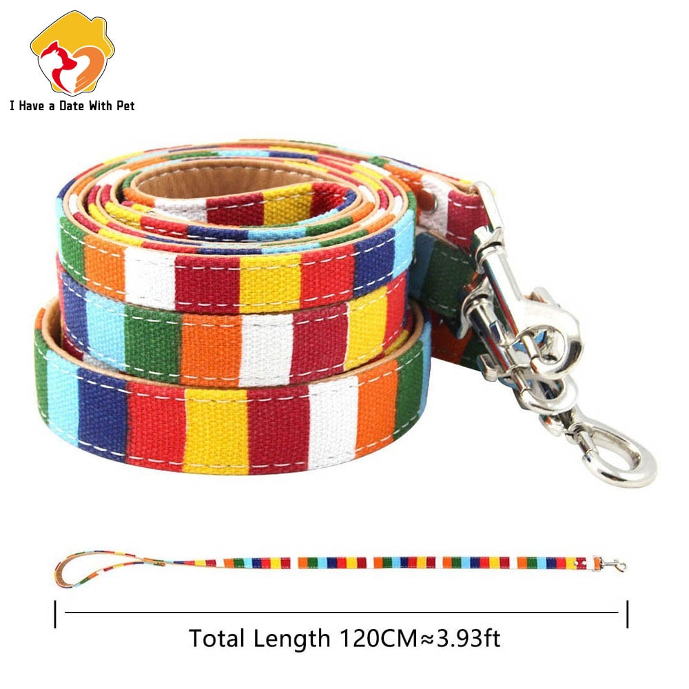 Color Stripe Leather & Canvas DogLleash