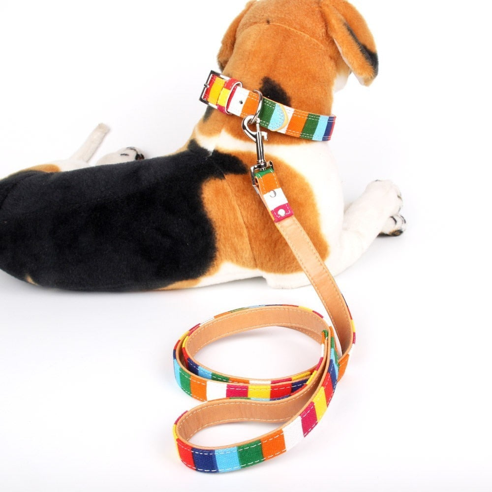 Color Stripe Leather & Canvas DogLleash