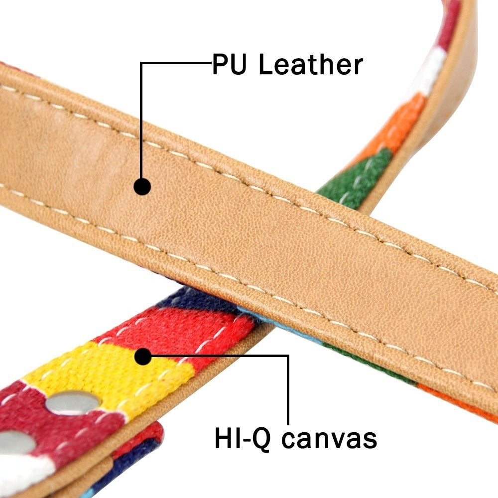 Color Stripe Leather & Canvas DogLleash