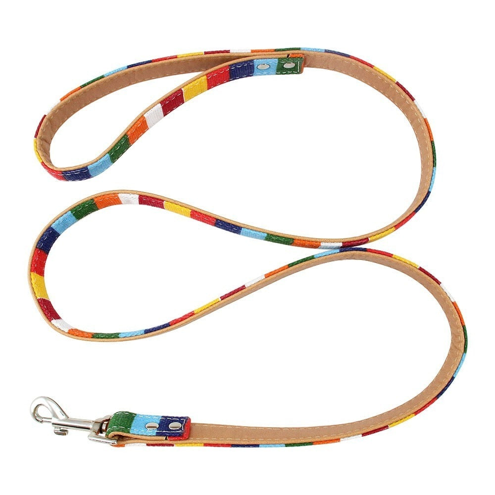 Color Stripe Leather & Canvas DogLleash