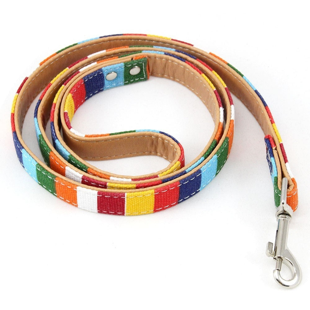 Color Stripe Leather & Canvas DogLleash