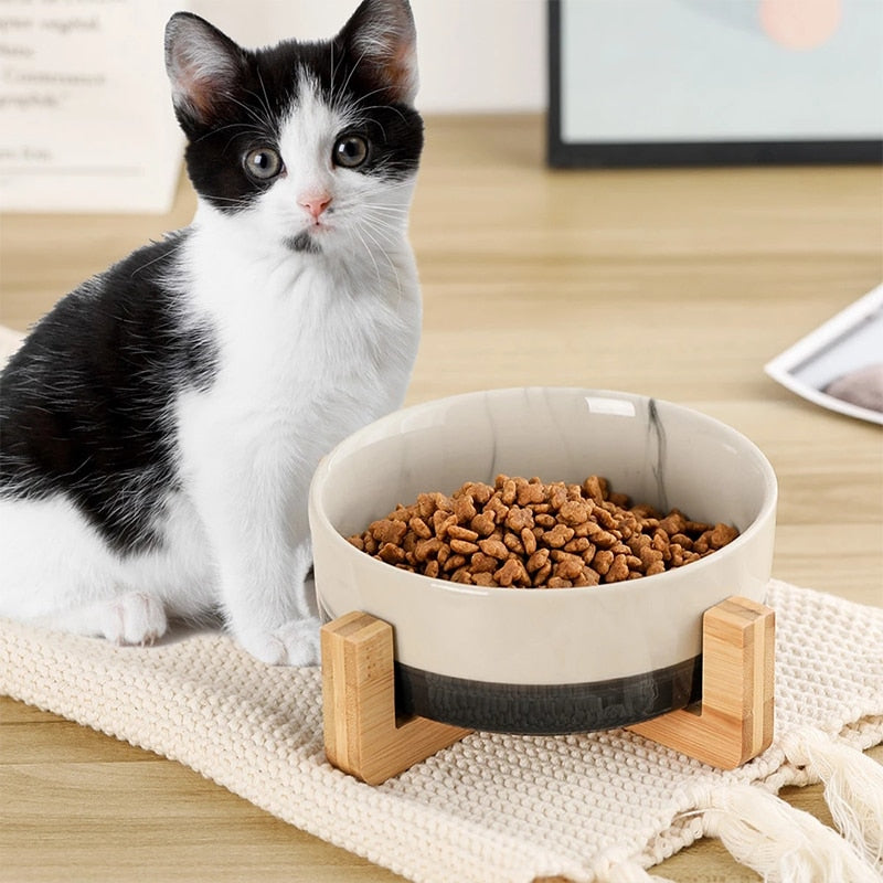 Ceramic Pet Bowl  With Wood Stand