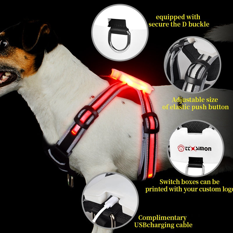 LED Dog Harness Pet Rechargeable and waterproof