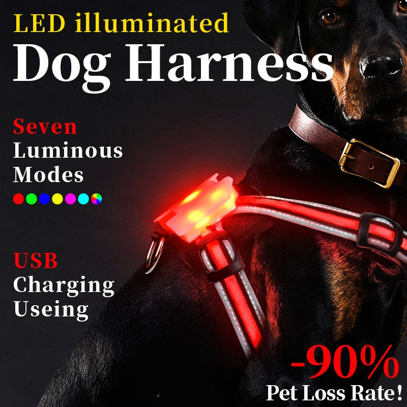 LED Dog Harness Pet Rechargeable and waterproof