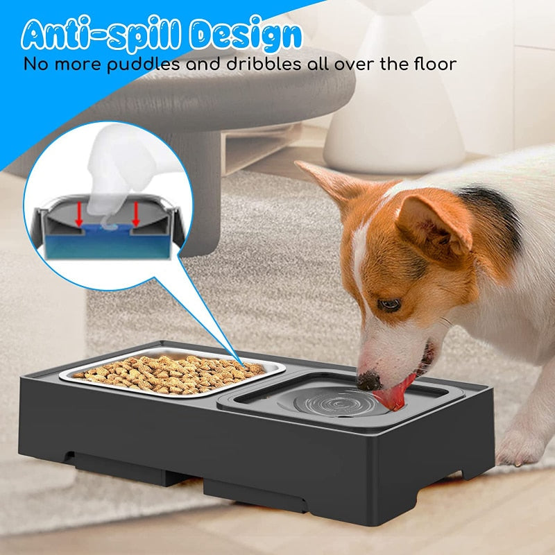 Adjustable Height Pet Feeding Stand with Bowls