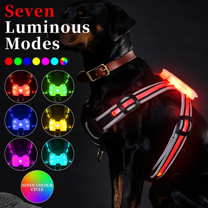 LED Dog Harness Pet Rechargeable and waterproof