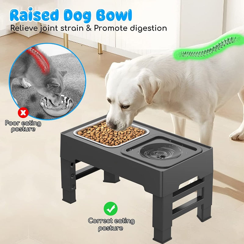 Adjustable Height Pet Feeding Stand with Bowls