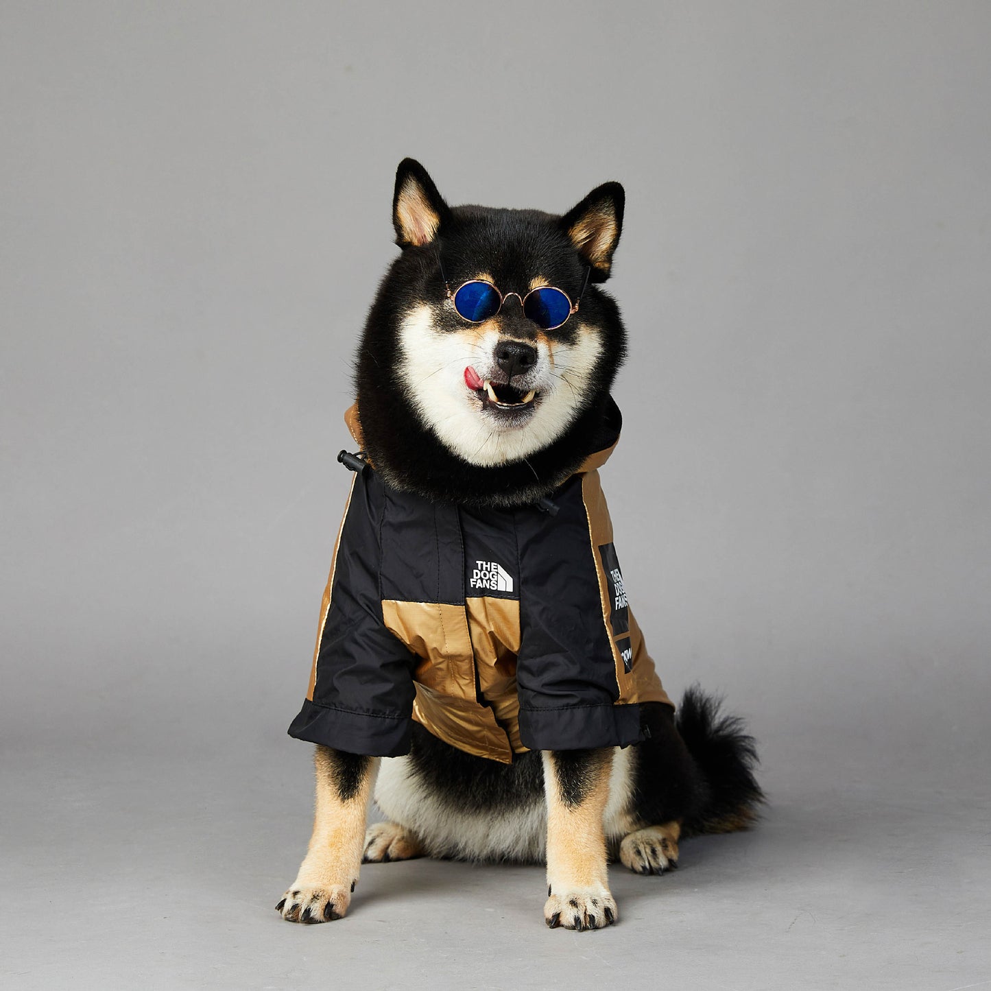 Dog Rain Coat