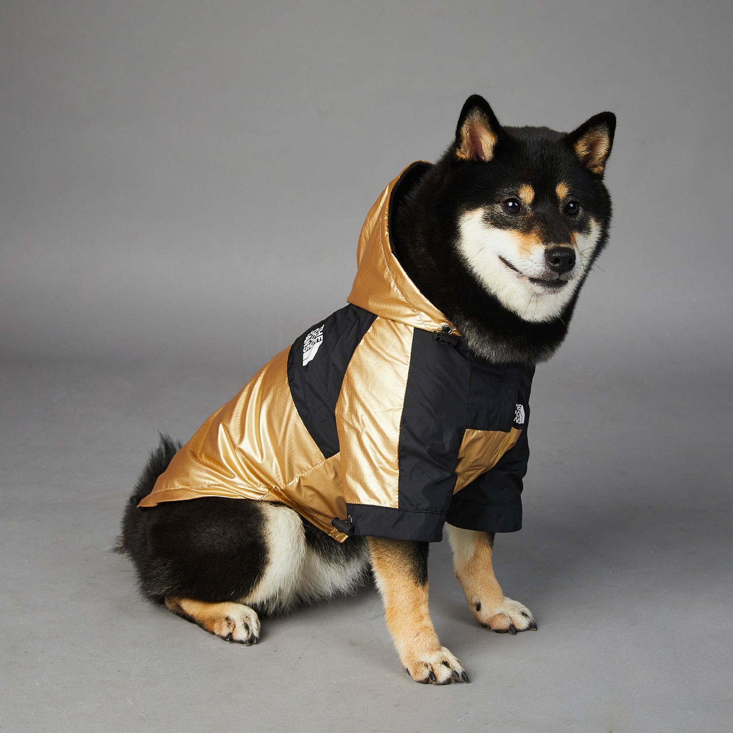 Dog Rain Coat